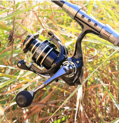 Molinete Shimano De Pesca 5.2:1 Freio Magnético + Brinde - Site Oficial De Vendas